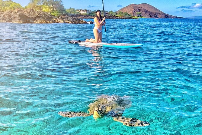 Private Stand Up Paddle Boarding Tour in Turtle Town, Maui - What to Expect