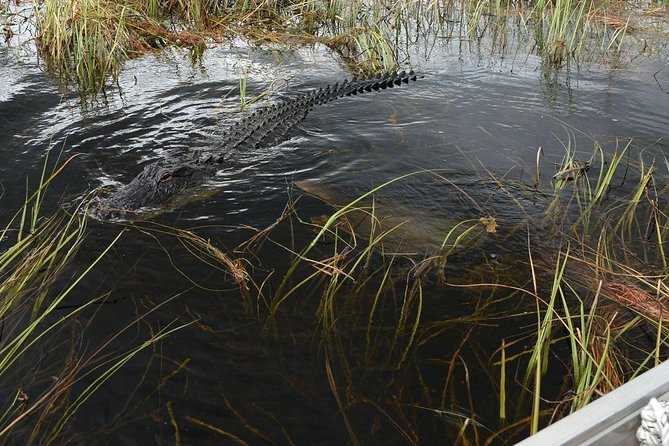 Private Tour: Florida Everglades Airboat Ride and Wildlife Adventure - Educational Exhibits