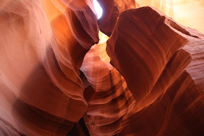 PRIVATE Tour to Antelope Canyon & Horseshoe Bend in Luxury SUV - Health and Safety Information