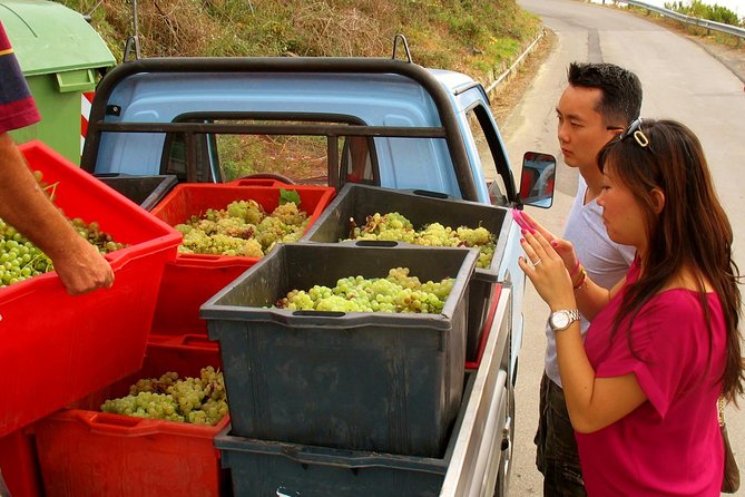 Private Tour to Cinque Terre From Florence - Reviews and Ratings