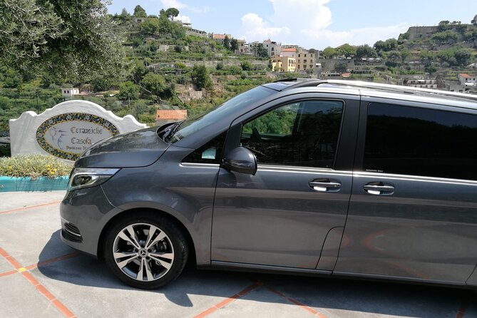 Private Transfer: Sorrento to Naples - Customer Reviews and Feedback