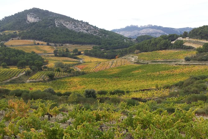 Provence Cru Wine Small-Group Half-Day Tour From Avignon - Traveler Experience and Reviews