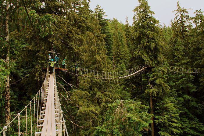 Rainforest Canopy & Zipline Adventure in Ketchikan, AK - Spotting Wildlife: Bears, Eagles, and More