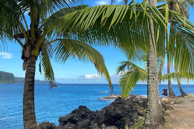 Rainforest Tour to Hana and Beyond - Traveler Experiences and Feedback