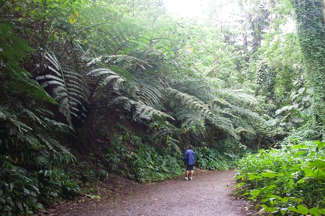 Rainforest Waterfall Trail and Shuttle Service - Amenities and Inclusions