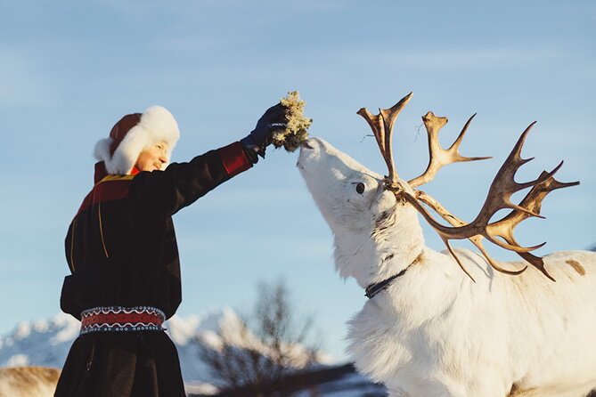 Reindeer Sledding and Feeding With Sami Culture in Tromso. - Culinary Delights: Traditional Sami Dishes