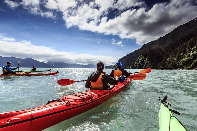 Resurrection Bay Kayaking Adventure - Cancellation and Refund Policy