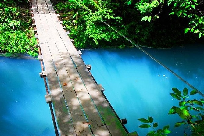Rio Celeste Hike & Tenorio Volcano Hike - What to Expect on the Hike