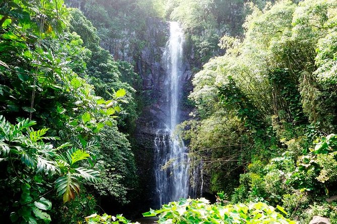 Road to Hana in Mercedes Van: Waterfalls and Black Sand Beach - Tour Experience and Guide Feedback