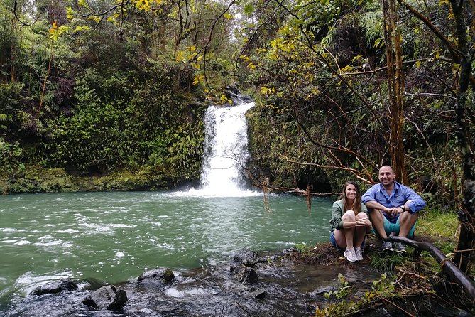 Road To Hana: Maui Waterfall Hiking Tour in Private Jeep - Traveler Feedback