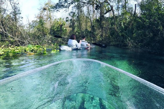 Rock Springs 2-Hour Glass Bottom Guided Kayak Eco Tour - Guided Tour Highlights