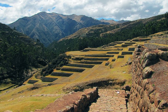 Sacred Valley Full Day Tour - All Inclusive - Encountering Llamas and Alpacas at Awanacancha