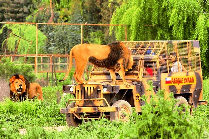 Safari Park, Wild Experience - Pricing and Cancellation
