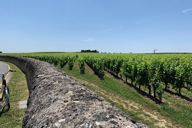 Saint-Emilion Afternoon Tour - 2 Wineries, Tastings & Delicacies - Winery Visits and Tastings