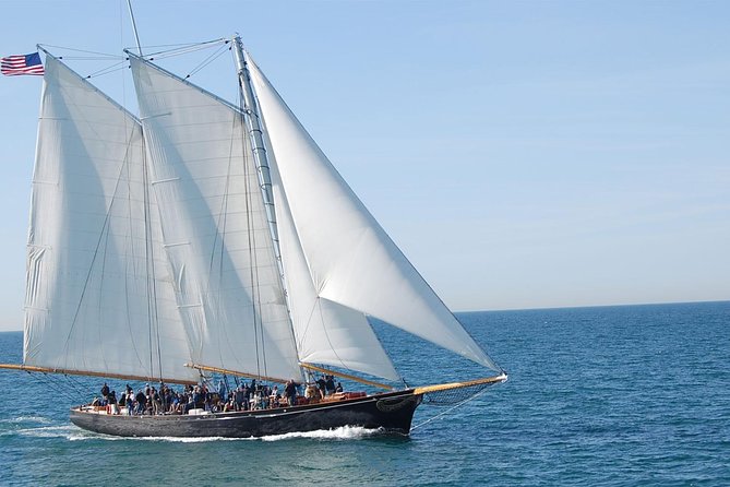 San Diego Whale Watching Cruise - Positive Customer Experiences