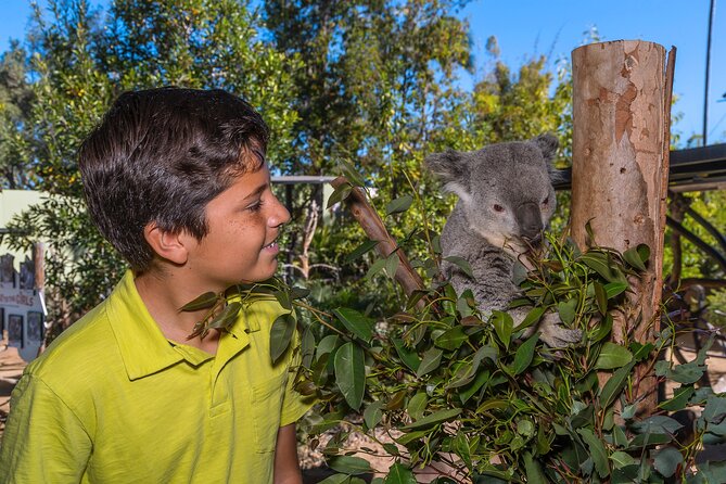 San Diego Zoo 1-Day Pass: Any Day Ticket - Specialized Habitats and Animal Diets