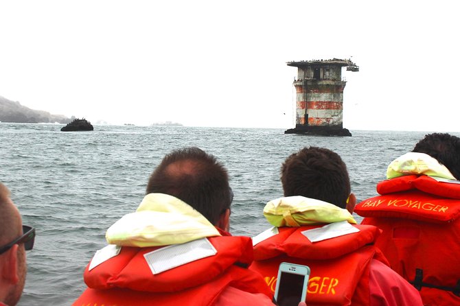 San Francisco Bay Adventure Sightseeing Cruise - Recommendations & Precautions
