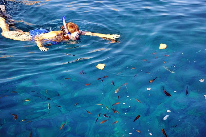 Santorini Luxury Catamaran Sunset Cruise With BBQ, Drink and Transfer - Guest Feedback and Highlights