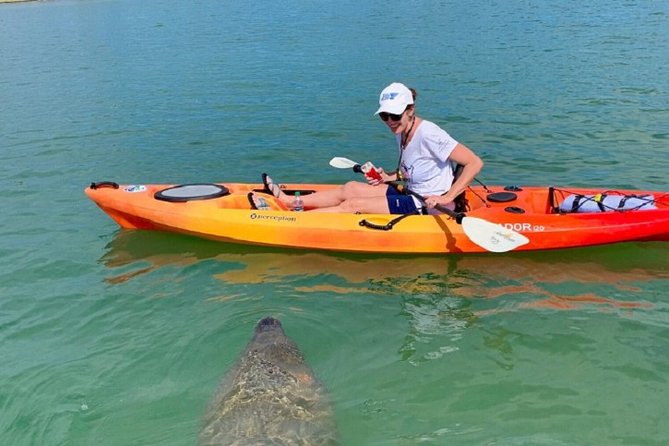 Sarasota Guided Mangrove Tunnel Kayak Tour - Meeting Information