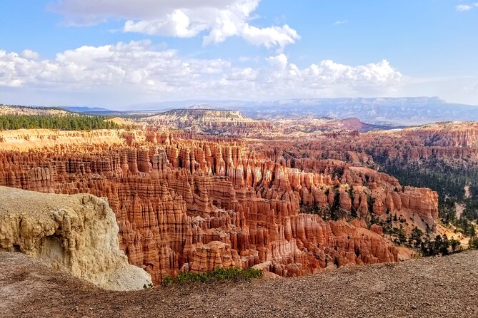 Scenic Tour of Bryce Canyon - Encountering the Diverse Wildlife of Bryce Canyon