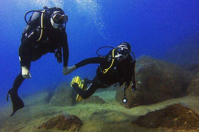 Scuba Diving Experience in Madeira - Booking and Pricing Details