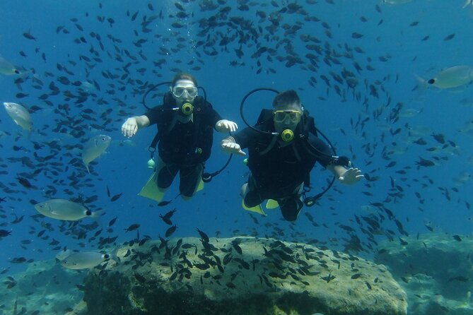 SCUBA DIVING First Time Experience - Exploring Vibrant Marine Life