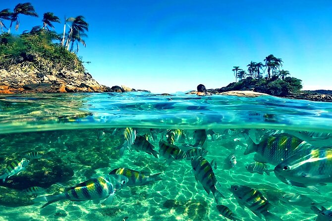 Shared Speedboat Tour - Paradise Island Tour - Tour Itinerary and Activities