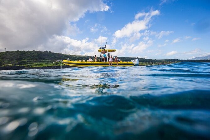 Shark-Dive Tour on Oahus North Shore - Cage-Less Dive With Trained Professionals