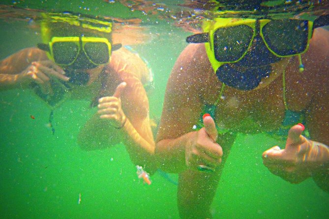 Shell Island Snorkel and Dolphin Catamaran Cruise With Island Time - Participant Guidelines