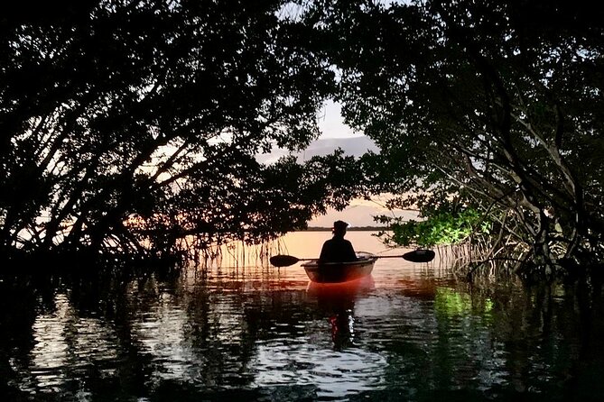 Shell Key Clear Kayak Sunset & Glow Tours - Meeting Point and Logistics