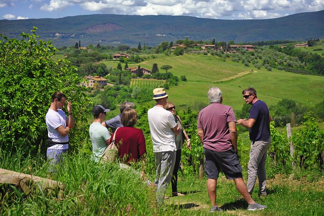 Siena: A Wine Tour and Tasting Experience - Exploring Historical Wine Cellars