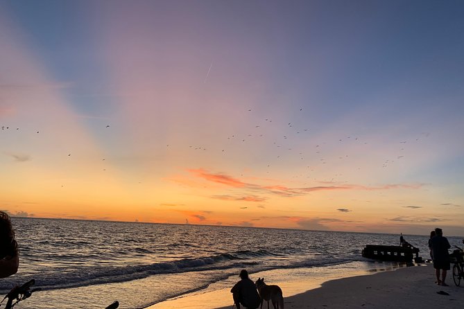 Siesta Key Electric Bike Sunset Tour - Bicycle Features