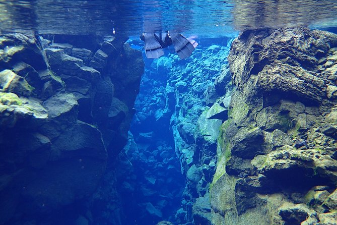Silfra Fissure Snorkeling From Reykjavík - Free Underwater Photos - Hotel Pickup and Transportation