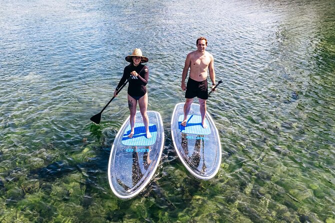 Silver Springs: Clear Kayak Wildlife Adventure - Health and Safety Guidelines