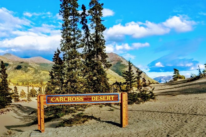 Skagway Shore Excursion: Full-Day Tour of the Yukon - Exploring the Caribou Crossing Trading Post