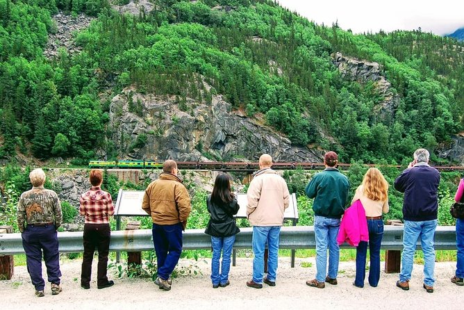 Skagway Shore Excursion: Half-Day Tour to the Yukon Border and Suspension Bridge - Customer Experiences and Feedback