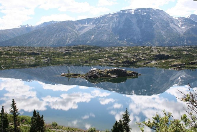 Skagway Shore Excursion: Yukon Discovery Tour - Requirements and Accessibility