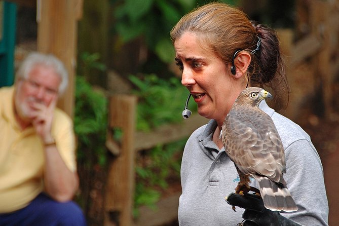 Skip the Line: Flamingo Gardens Admission Ticket in Fort Lauderdale - Visitor Experience and Reviews