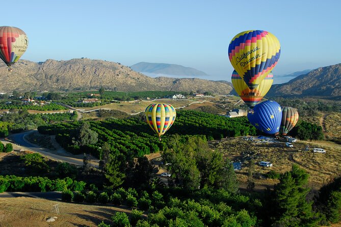 Skyward at Sunrise: A Premiere Temecula Balloon Adventure - Inclusions