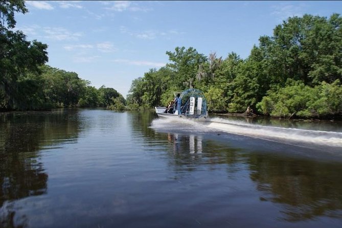 Small-Group Airboat Swamp Tour With Downtown New Orleans Pickup - Feedback From Customers