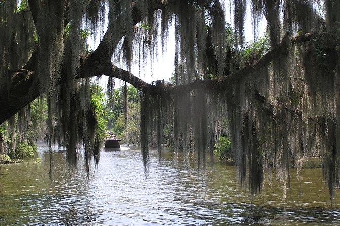 Small-Group Bayou Airboat Ride With Transport From New Orleans - Accessibility and Restrictions