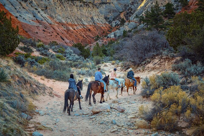 Small-Group East Zion White Mountain Horseback Ride - Accessibility
