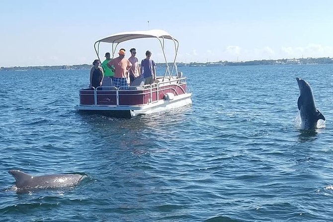 Small Group Florida Keys Eco Tour by Boat - Meeting Point and Accessibility