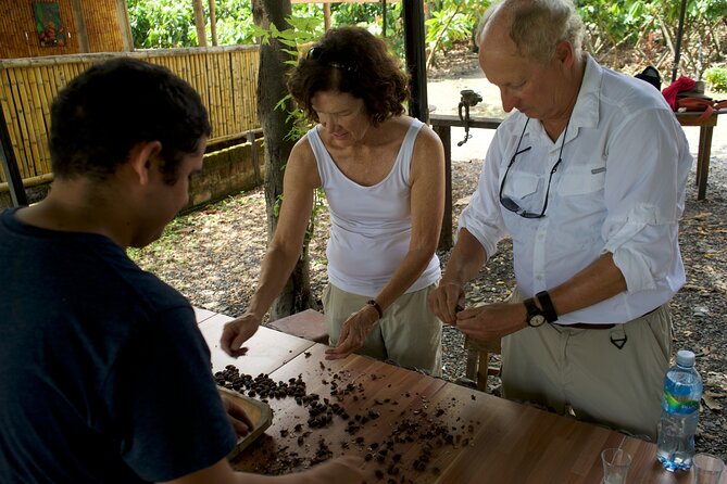 Small Group Guayaquil and Cocoa Farm Full-Day Tour - Exploring Guayaquils Landmarks