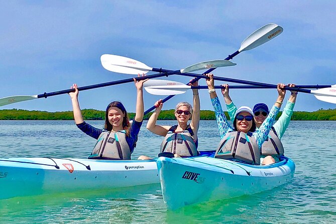 Small Group Kayak Tour of the Shell Key Preserve - Exploring Mangrove Tunnels