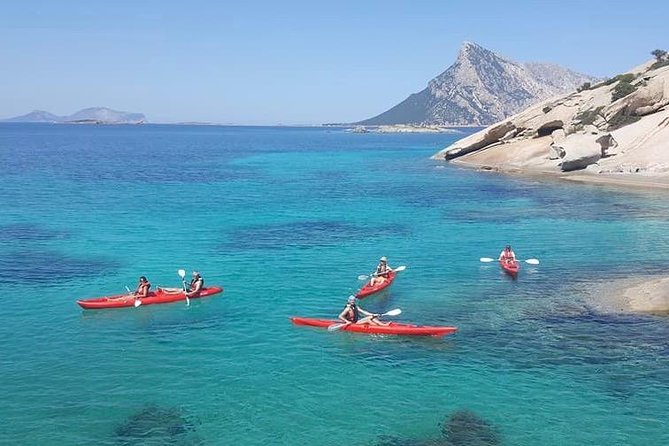 Small Group Kayak Tour With Snorkeling and Fruit - Wildlife Viewing Opportunities