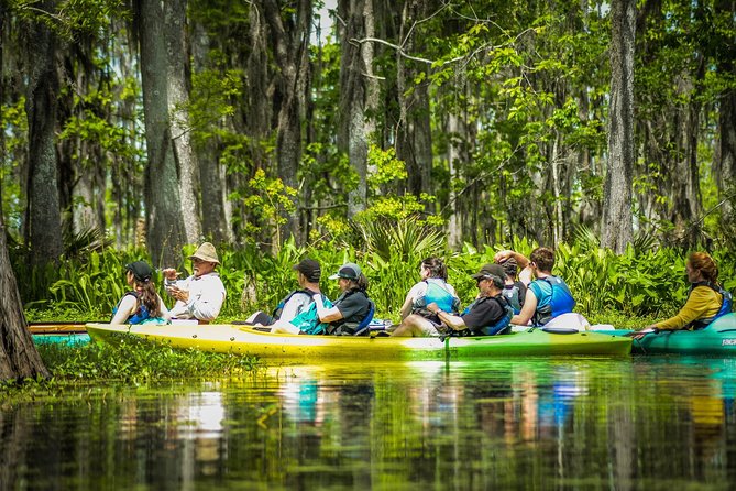 Small-Group Manchac Swamp Kayak Tour With Local Guide - Group Size and Accessibility