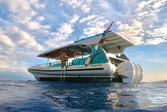 Small-Group Manta Ray Moonlight Snorkel From Kona - Customer Experience and Feedback