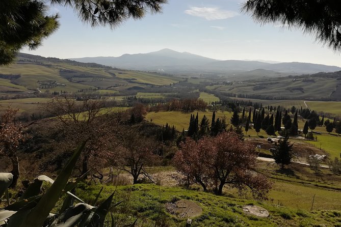 Small-Group Montepulciano and Pienza Day Trip From Siena - Customer Feedback and Experiences