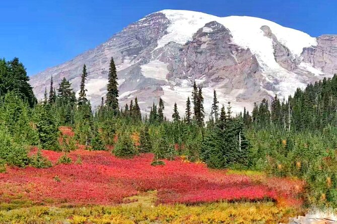 Small Group Mt Rainier National Park Day Tour From Seattle 2CANGO - Health and Safety Guidelines